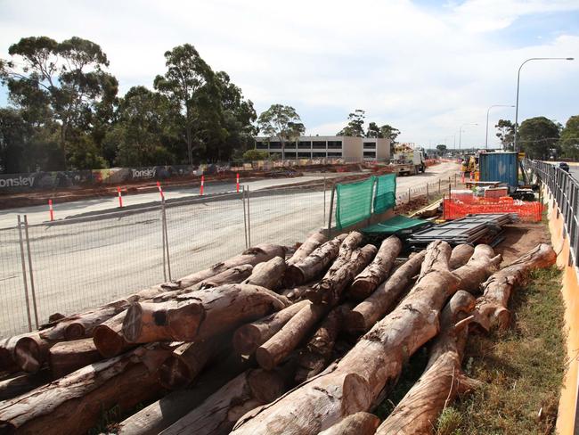 Large trees that were cut down for the Darlington Upgrade Project at, Tonsley, part of the North-South Corridor in Adelaide. Supplied. Credit: Yuri, Poetzl