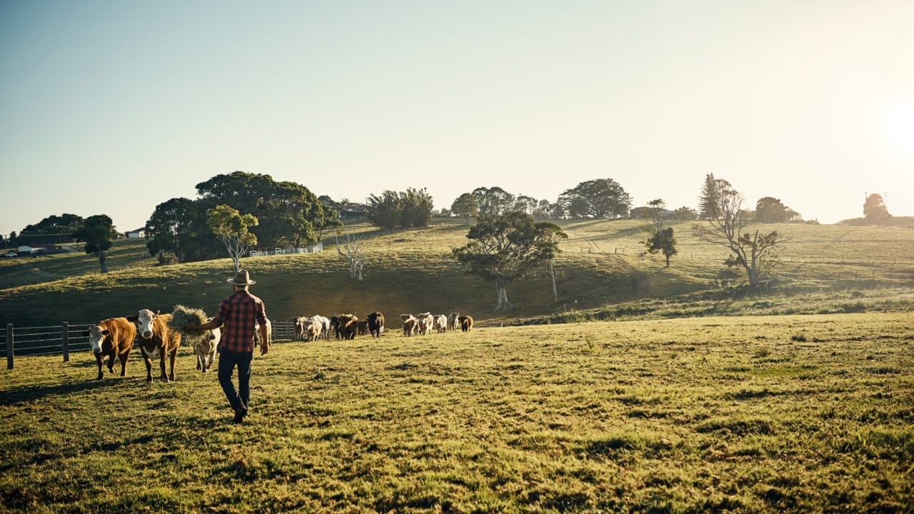 ‘Great to taste it at the source’: Food bowl Bundaberg a hub for agritourism