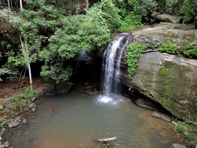 Serenity Falls at Buderim Forest Park is among the number of natural attractions on the Sunshine Coast. Picture: Warren Lynam