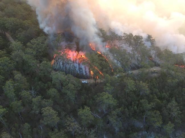 More than 80 per cent of Wollemi National Park has been burned by the fire. Supplied by NPWS