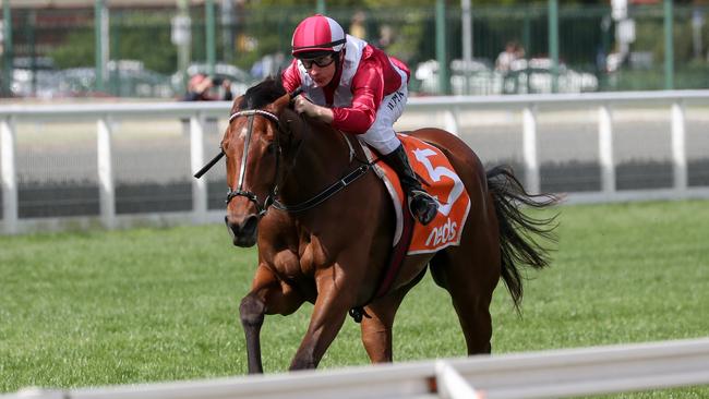 Arcadia Queen causes a boilover in the Caulfield Stakes. Photo: Racing Photos via Getty Images