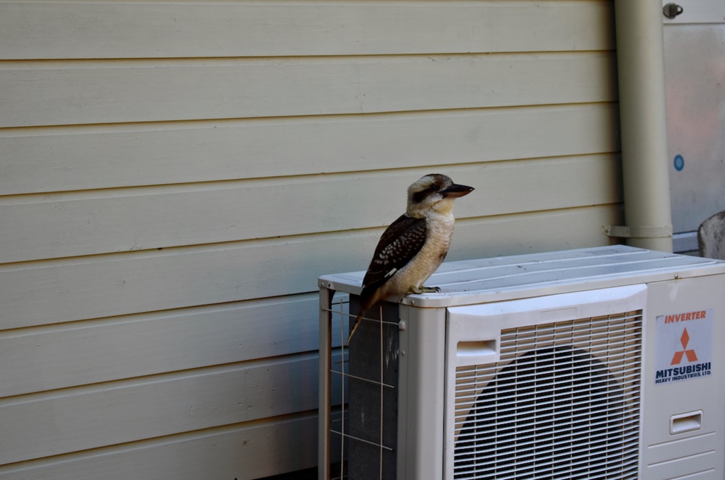 Onlookers kept a close eye on the freshly turned dirt at the construction site. Picture: Isabella Magee