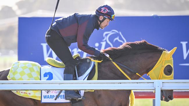 Warp Speed worked at the Werribee quarantine centre on Wednesday morning. Picture: Racing Photos