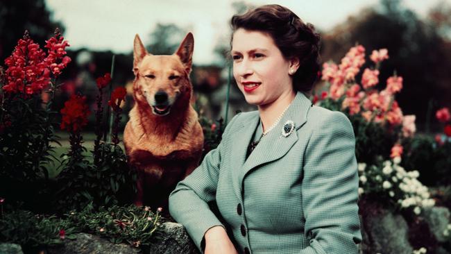 The Queen is seen at Balmoral in 1952 with one of her corgis