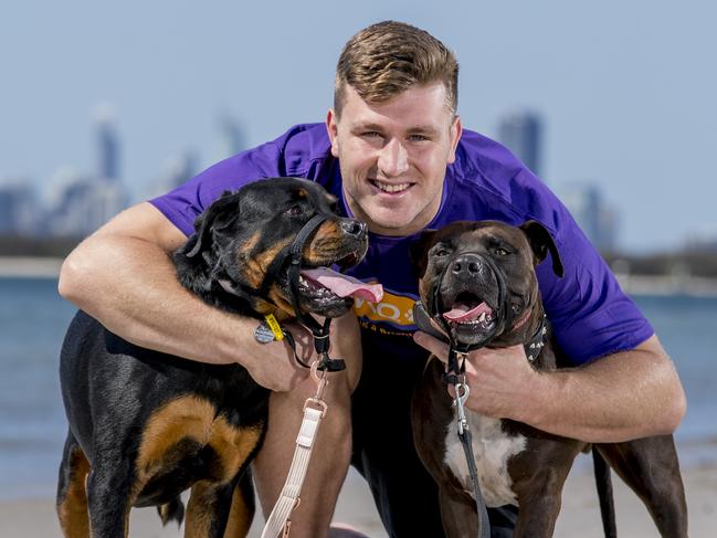 Jai Arrow with his dogs, Koda (rottweiler) and Thor (American staffordshire terrier), on a charity walk in 2019. Picture: Jerad Williams