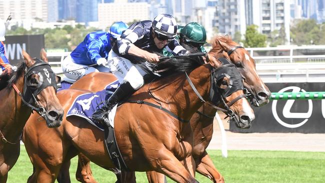 It'sourtime ridden by Billy Egan wins the Standish Handicap at Flemington Racecourse on January 11, 2025 in Flemington, Australia. (Photo by Brett Holburt/Racing Photos via Getty Images)