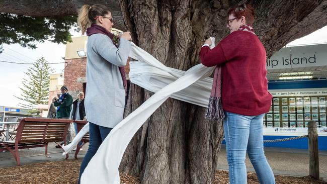 Volunteers Erin Woodham and Alice Bradley wrap a tree with a white ribbon on Thompson Ave, Cowes. Picture: Jake Nowakowski