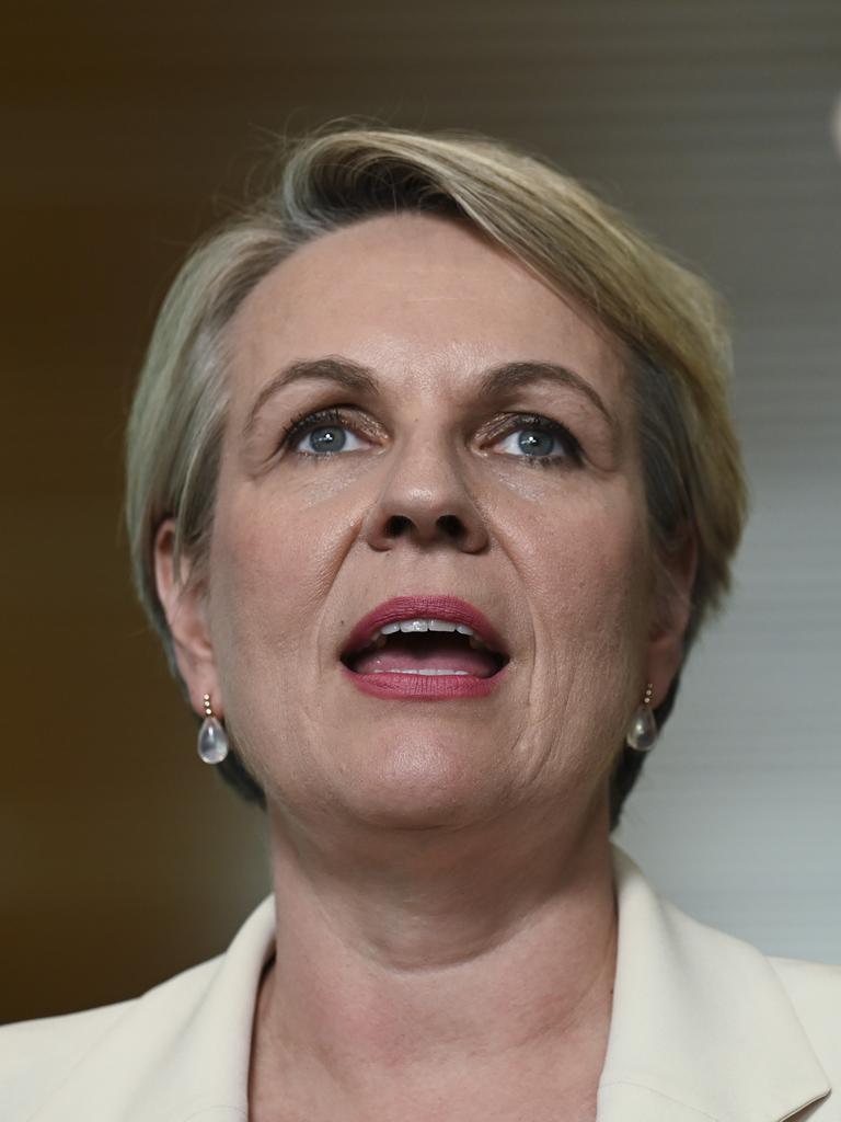 Tanya Plibersek ruling on Victoria’s offshore wind strategy an illwind