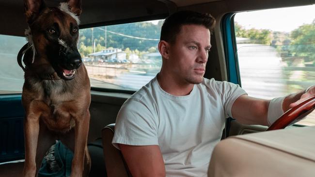 Channing Tatum and his canine companion in a scene from the movie Dog,