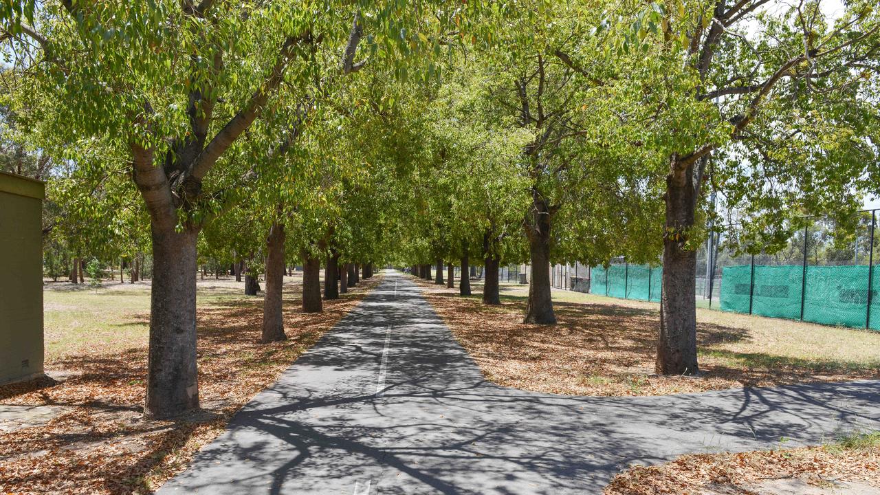 Adelaide City Council may plant fruit trees and vegetables in its parklands, public gardens and reserves in a bid to boost local food security. Picture: AAP/Brenton Edwards.