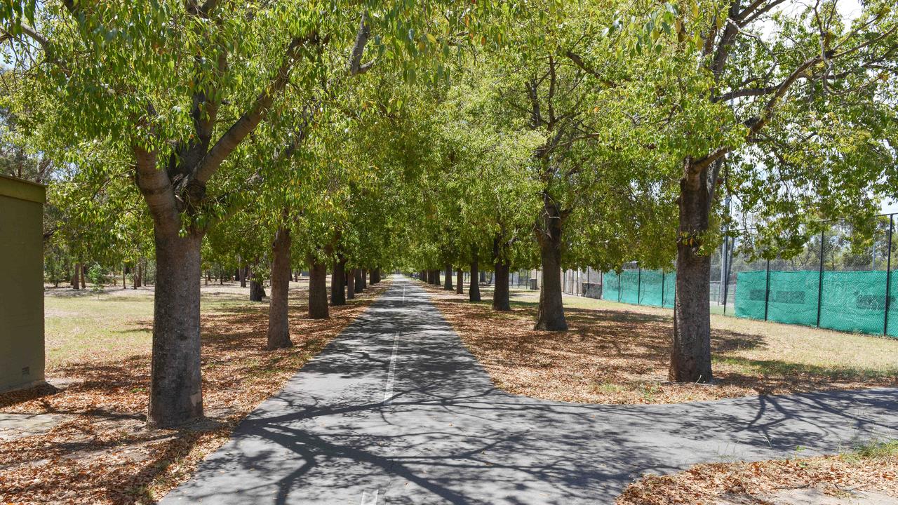 Vegie patches in the parklands?