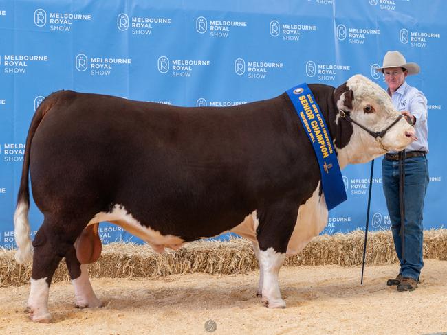 Warragundi Pastoral’s Matt Kelley with their grand champion bull at the 2022 Royal Melbourne Show.