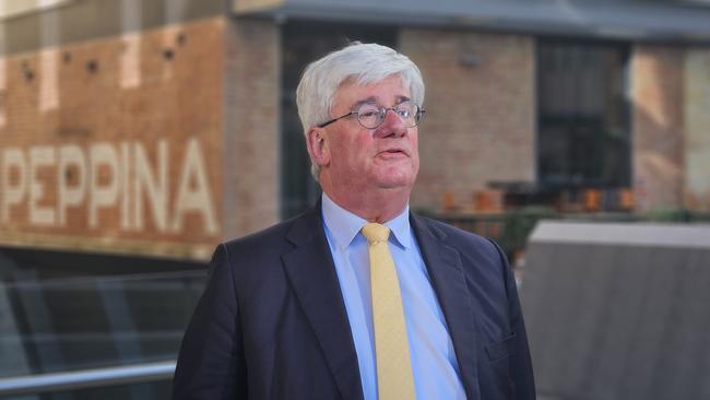 Economist Saul Eslake speaks to the media at Parliament Square in Hobart on Monday, August 19, 2024.