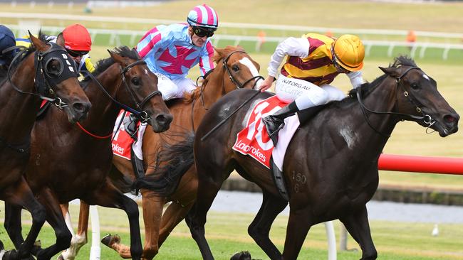 Pretty Brazen fought on strongly to win the Sandown Guineas. Picture: AAP