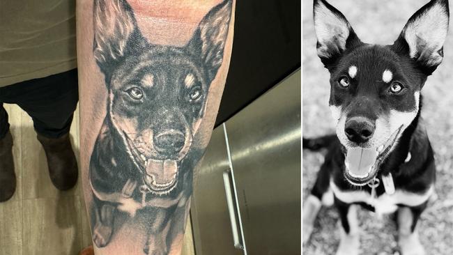 Frankston MP Paul Edbrooke's arm art of his kelpie Lola.