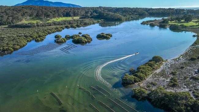 Australia's Oyster Coast oyster leases in Bermagui on the NSW south coast. Picture: David Rogers