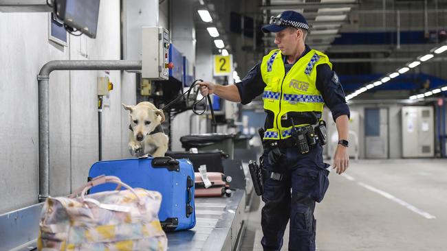 Australian Federal Police airport operations. Picture: Roy VanDerVegt