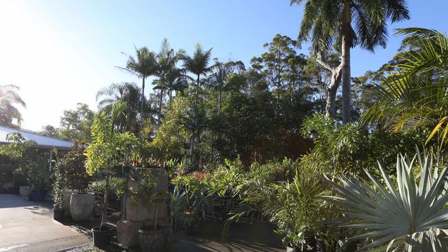 Many are switching to drought-friendly plants and buying bird baths for wildlife. Pic Mike Batterham