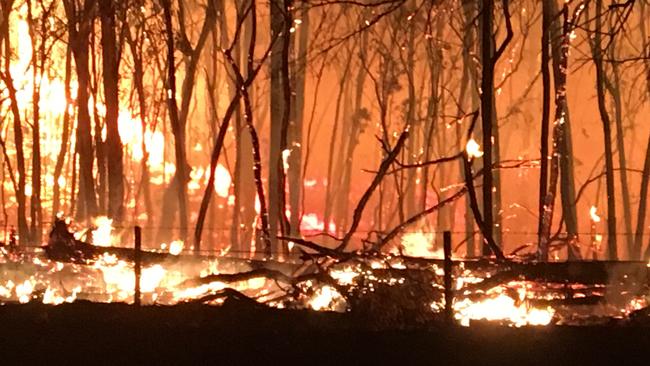 Janelle Ballard made multiple fraudulent claims in the midst of the Black Summer bushfires. Picture: Rob Blomfield