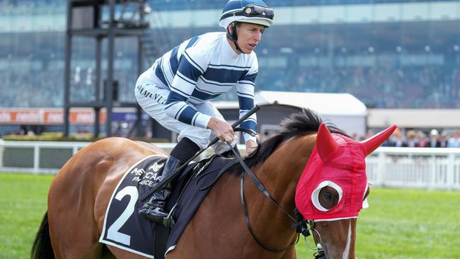 Uncommon James won’t be nominated for the Swiss Ace next Saturday. Picture: Scott Barbour/Racing Photos via Getty Images