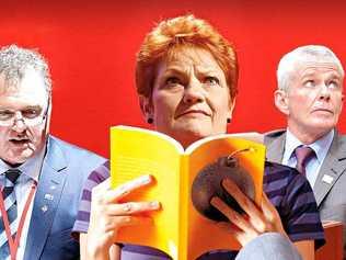 One Nation is taking a leaf out of the Clive Palmer playbook, with the odds of a PUP-style implosion looking increasingly likely. Picture: Digitally altered / Thinkstock /