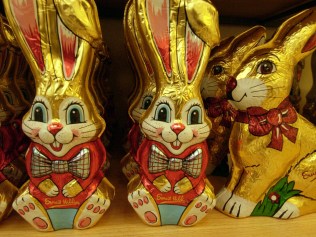 Easter eggs and bunnies
Photo Lisa Williams / Sunshine Coast Daily