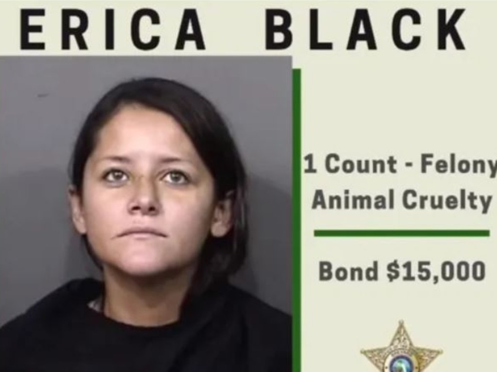 Erica Black, 32, has been charged with animal cruelty. Picture: Brevard County Sheriff's Office