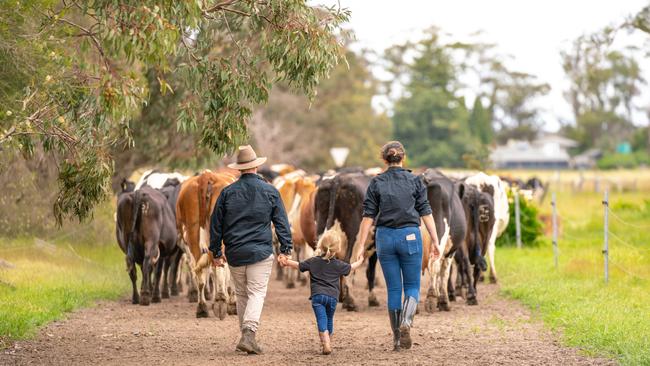 Dairy farming families can expect to see milk prices fall back, after a 40 per cent slump in global commodity prices, with little sign of recovery.