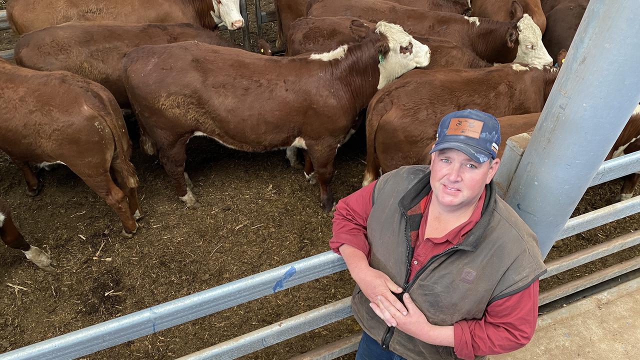 Weaner calf sales 2023: Wodonga, Wangaratta, Mortlake, Yea | The Weekly ...