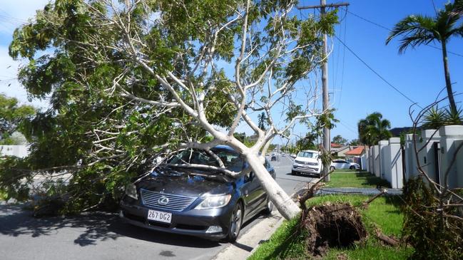 At Coomera, trees landed on parked cars outside of homes. Picture: NCA NewsWire / Scott Powick