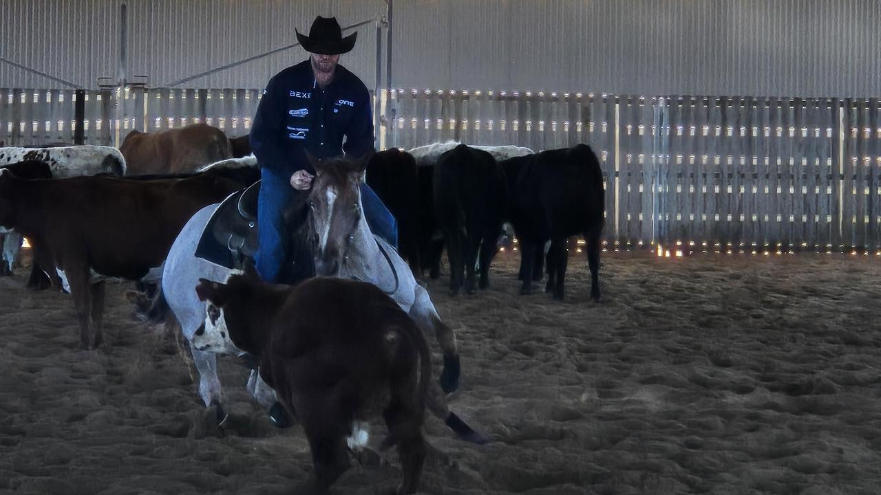 Toowoomba's Jamie Seccombe works a heifer as he prepares for the Darling Downs Cutting Futurity title in July. May 14, 2025