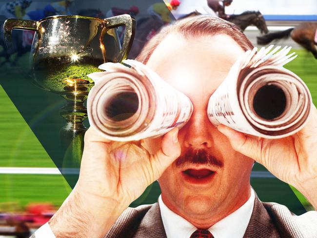 The 2017 Melbourne Cup: Why your horse can win.