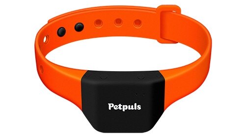 Petpuls AI dog collar