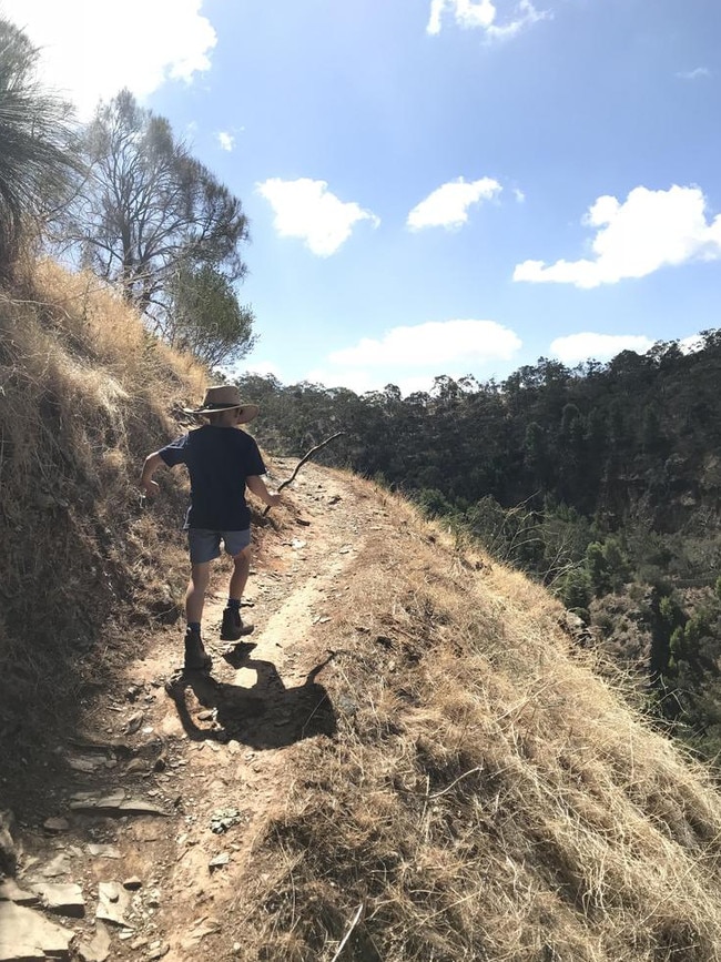 Drew leads the way on a nature hike through Chambers Gully.