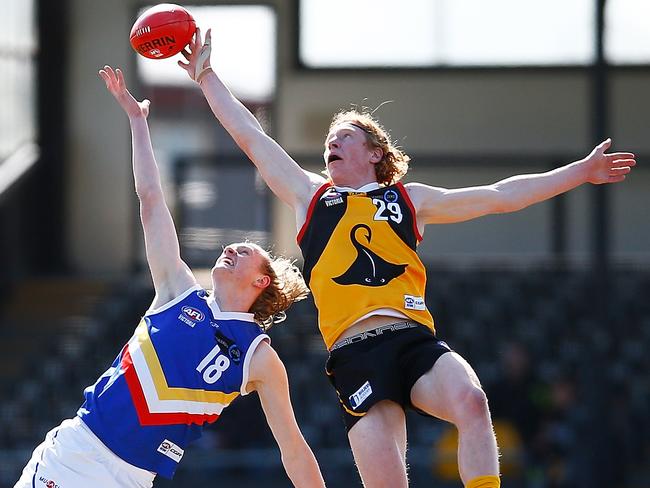 Sam Hayes competes in the ruck. Picture: Getty Images