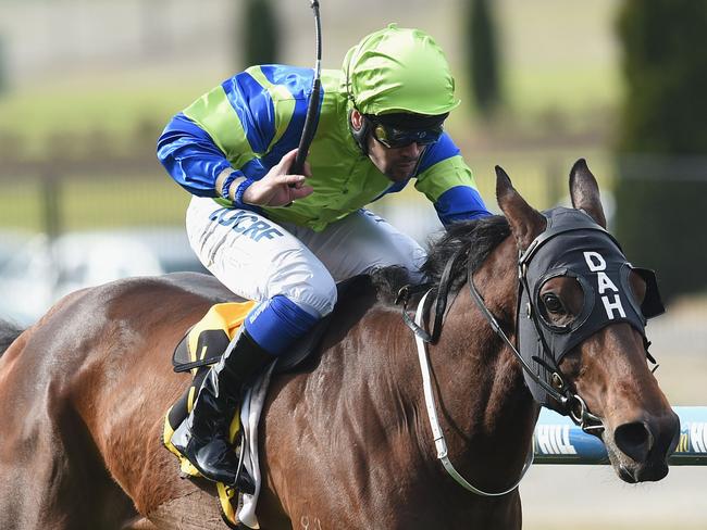 Churchill Dancer displays his rich talent with a dominant display in the fifth race at Moonee Valley. Picture: Getty Images