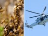 Toddler in hospital after nearly 100 bee stings