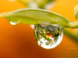 Jodie Locke snapped this incredible photo of a rain droplet. Picture: Jodie Locke