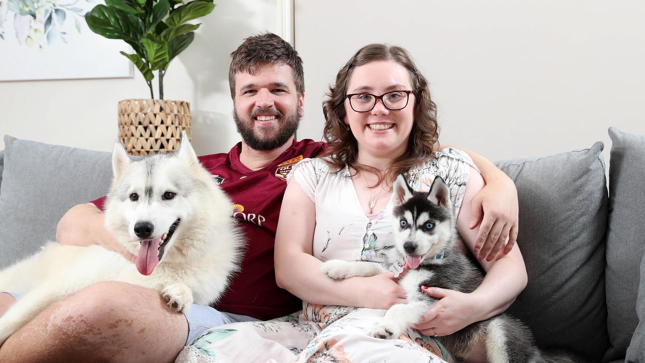 Hero Siberian husky Max (on left) who ran home to seek help for Shaune Martin (right) after she was hit by a car. Shaune is pictured with her fiance David Symes and the couple’s new puppy Harry. Photo: Tara Croser.