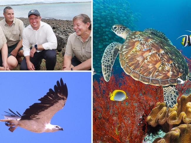 ‘Wonderful’: 140 islands to expand Great Barrier Reef Marine Park