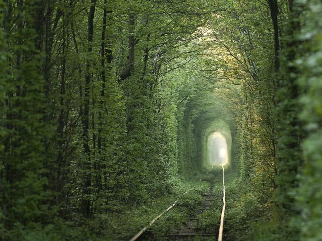 The tunnel of love. Picture: Thinkstock