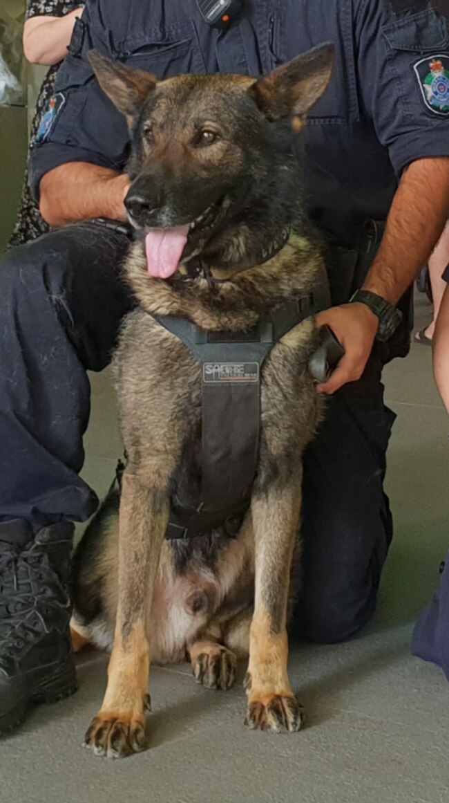 PD Kaos was stabbed in Brisbane on Sunday morning.