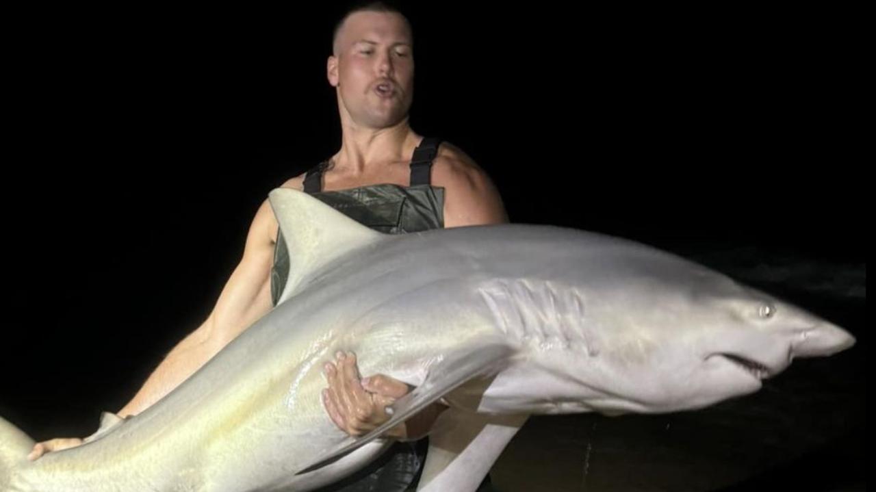 This shark, reported to be a bronze whaler or bullshark, was caught off Hervey Bay near K'gari with Shane Ilka posting of the catch.