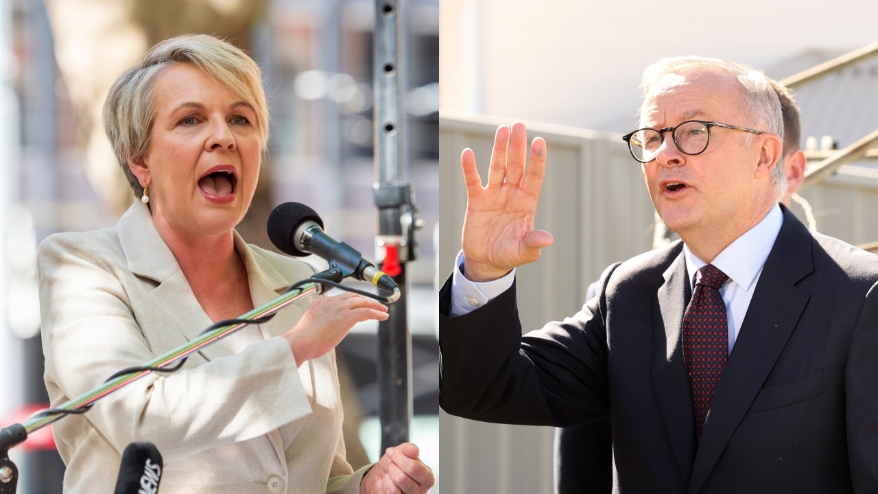 Tanya Plibersek Denies Targeting Anthony Albaneses Leadership As She Is Grilled Over Absence 4252