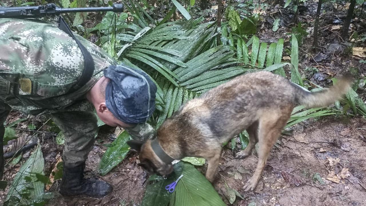 colombia-plane-crash-children-survive-weeks-in-amazon-jungle-the