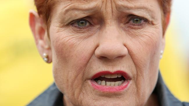 SATURDAY TELEGRAPH - Pictured outside a pre polling booth in Singleton today is One Nation Leader Pauline Hanson to support Local One Nation Candidate Dale McNamara for the Upper Hunter By Election. Picture: Tim Hunter.