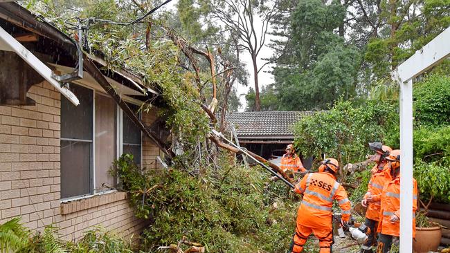 Hornsby SES volunteers work to remove the large tree which damaged two homes. Picture: Troy Snook