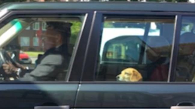 Guy cruising in style with Queen Elizabeth II. Picture: Abbey Thomas/ Supplied