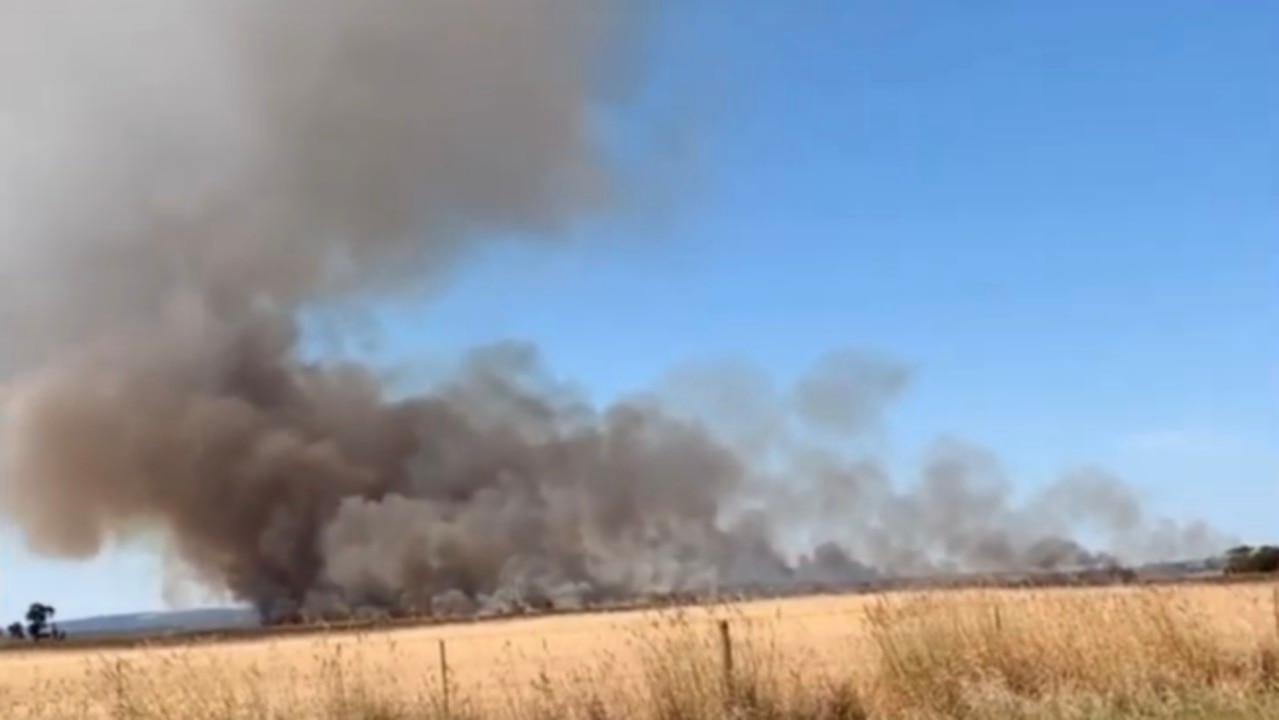 Grassfire Rages Near Animals in Rural South Australia | news.com.au ...