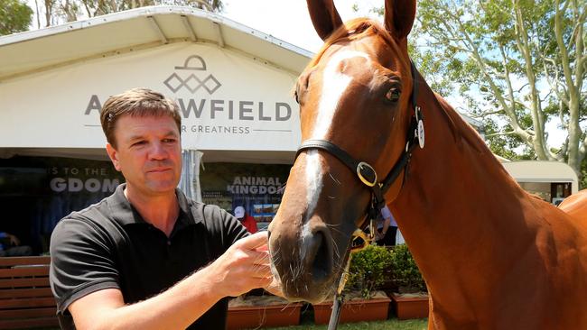 Pictured at the Magic Millions Sales , Graham Motion trainer looking over a yearling from Arrowfield Stud . Picture Mike Batterham